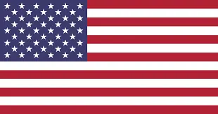 american flag-Rochester Hills